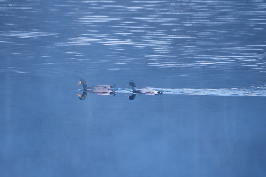 submarine tracking tactics