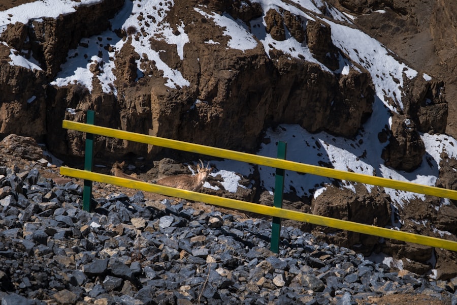 Photo cable burial depth protection