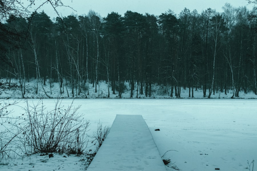 Photo Russell Crowe Cold War film adaptation