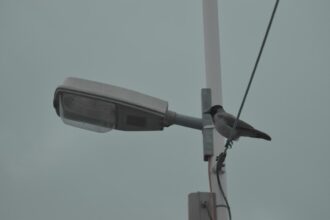 Photo maritime surveillance systems