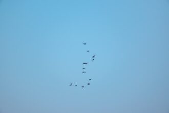 Photo convoy formation tactics