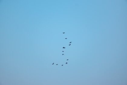 Photo convoy formation tactics