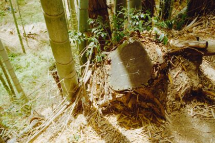 Photo missiles, Vietnam War