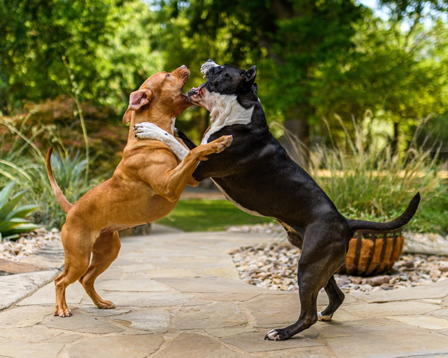 Photo dogfighting techniques