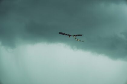 Photo supersonic fighter jet technology Vietnam