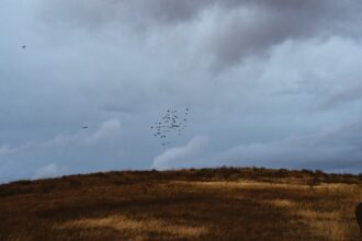 Photo drone formation flying