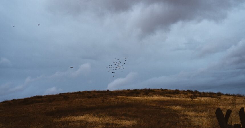 Photo drone formation flying