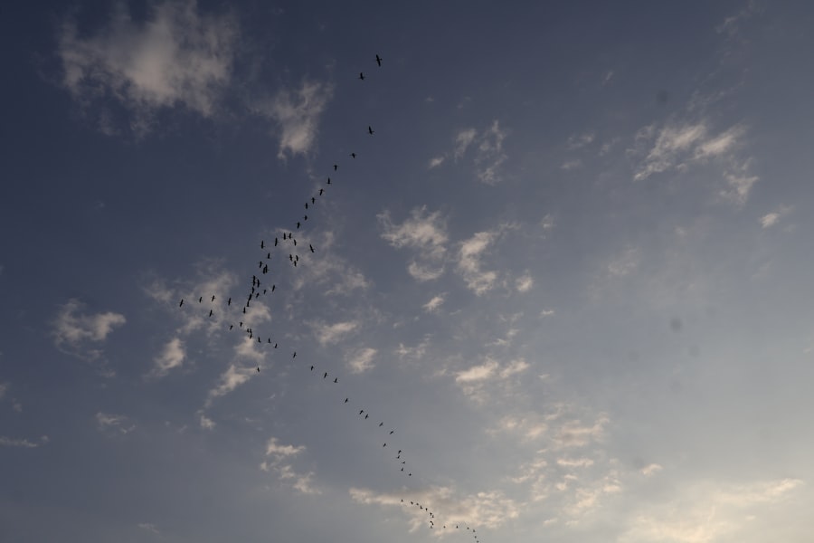 Photo drone formation flying
