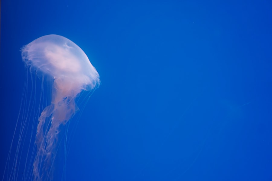 Photo nuclear warhead launch sequence