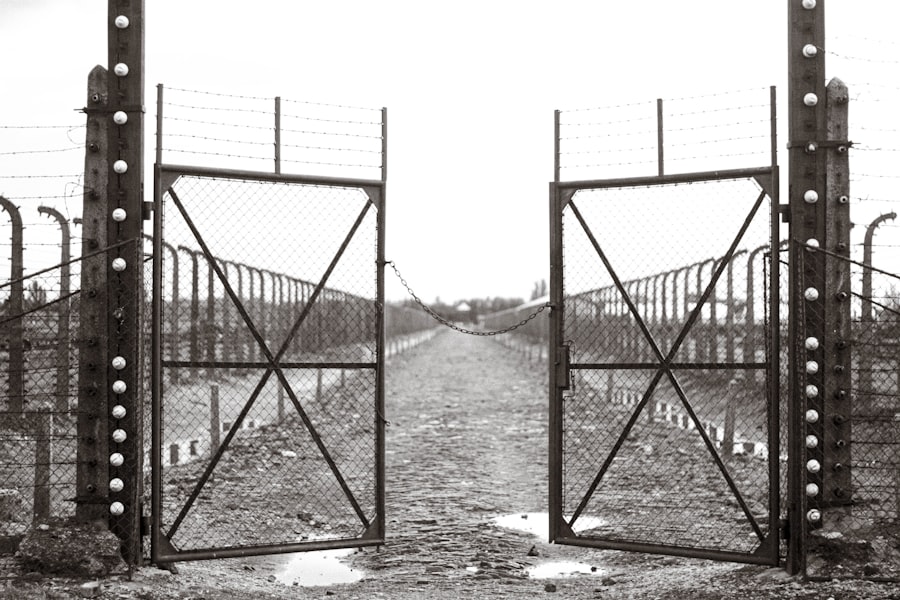 Photo perimeter system