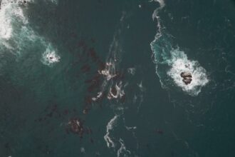 Photo naval mine laying operations tactics