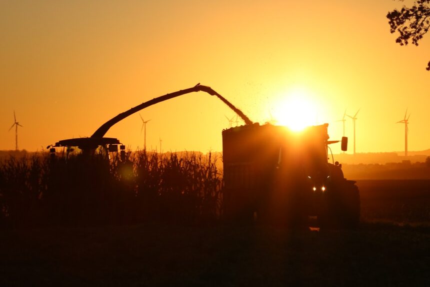 Photo energy security