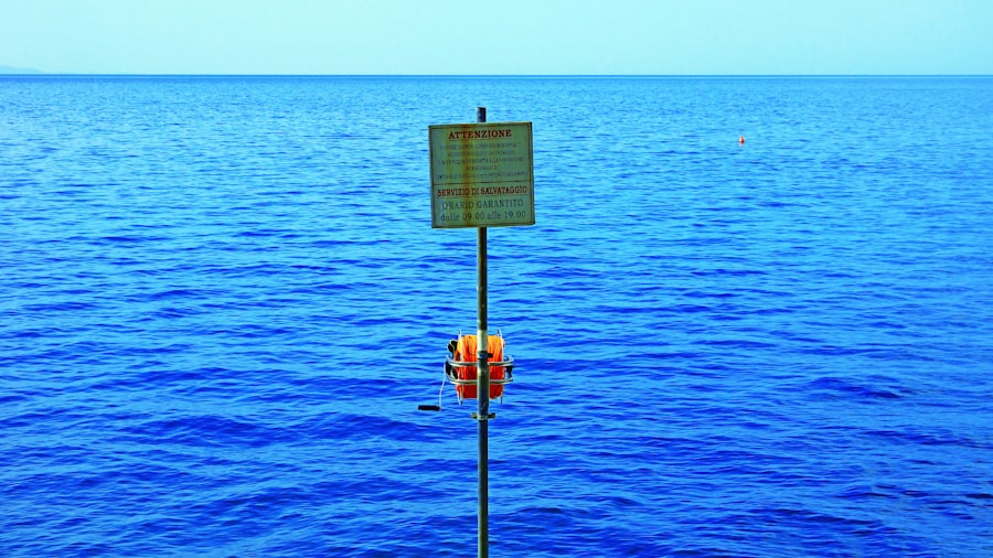 Photo undersea surveillance system