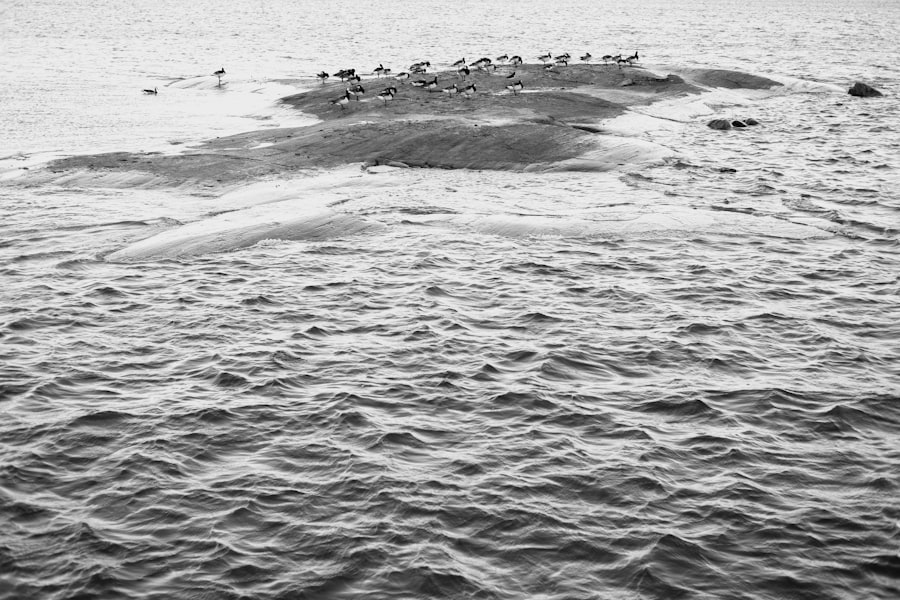 Soviet internal waters incursions