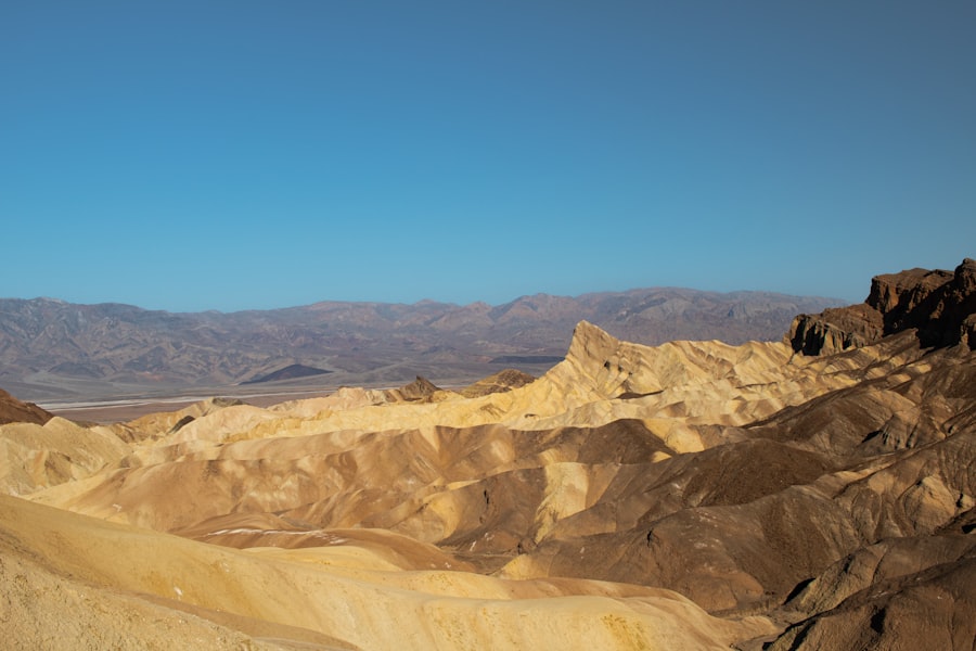 california gold rush