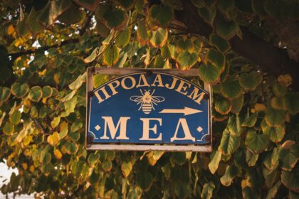 Photo metadata