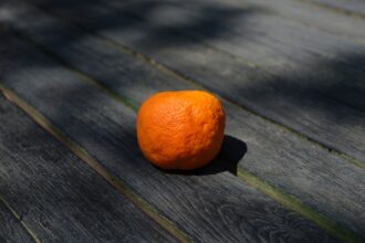 Photo Clementine capture vehicle