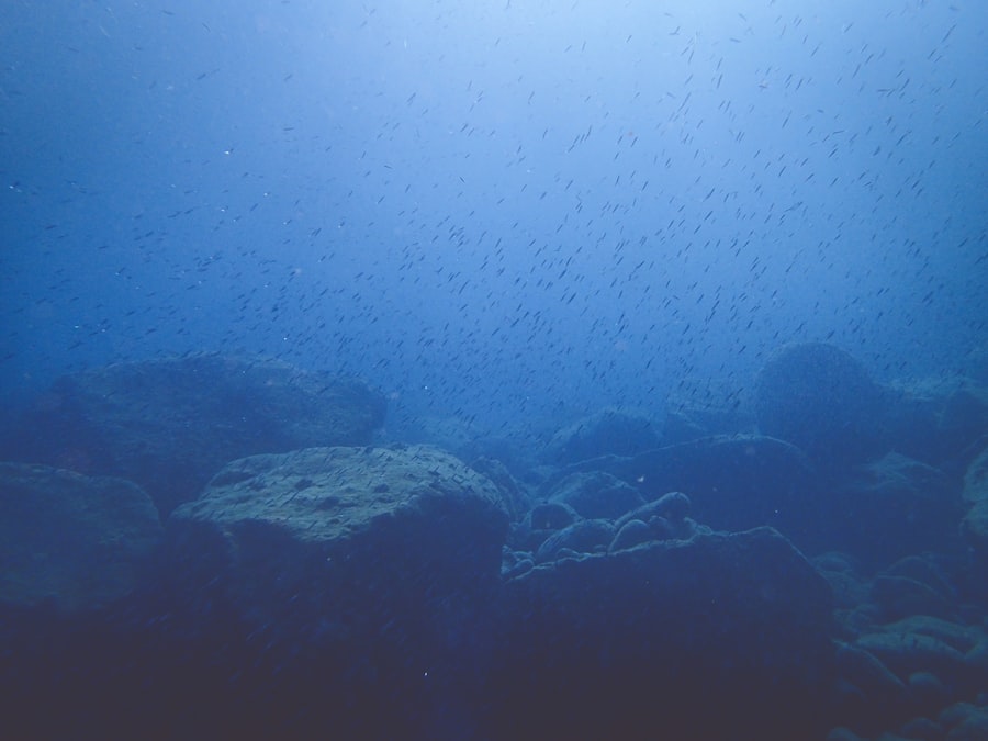 Photo ocean floor operations