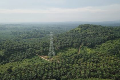 Photo economic impact