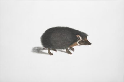 Photo kgb mole