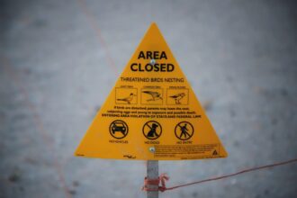 Photo access control