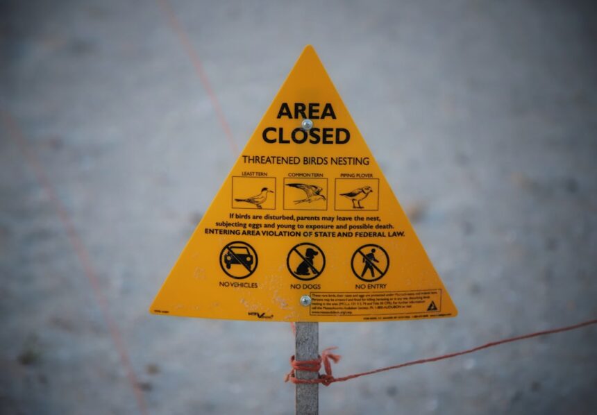 Photo access control