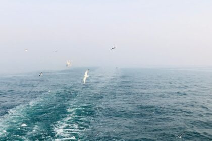 Photo traffic analysis naval warfare