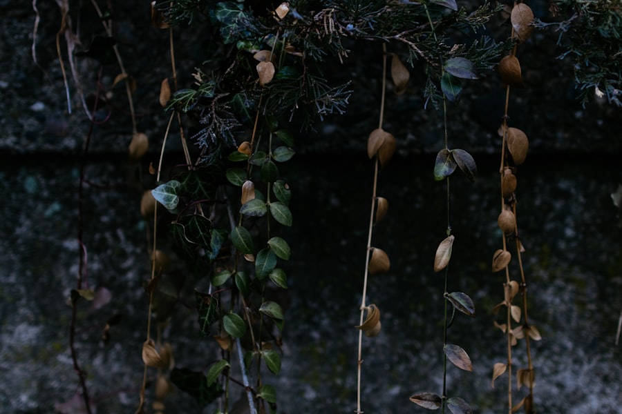 Photo Ivy Bells pod