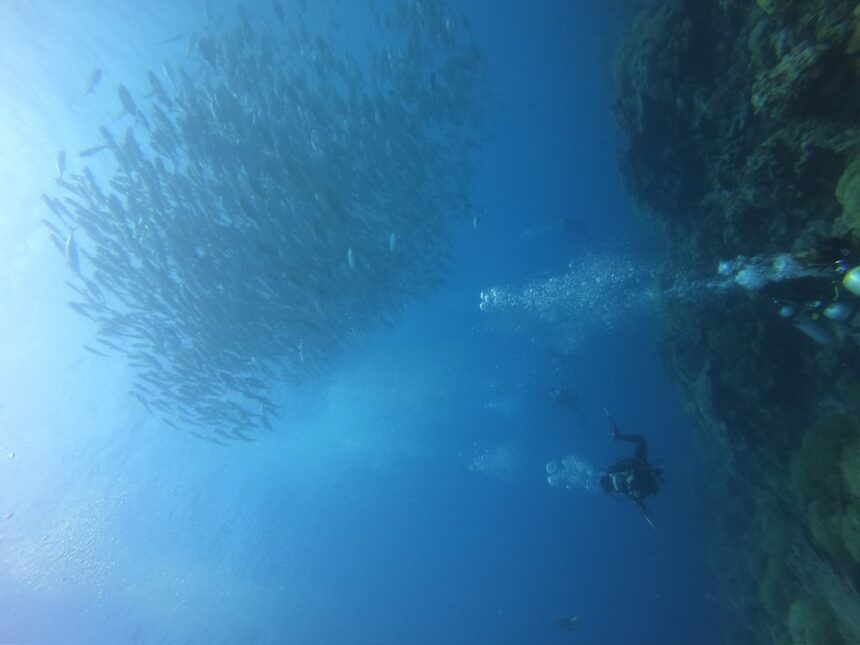 Photo Saturation diving