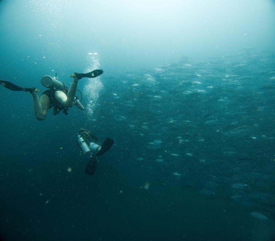 Photo Saturation diving