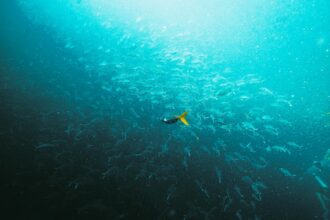 Photo saturation diving