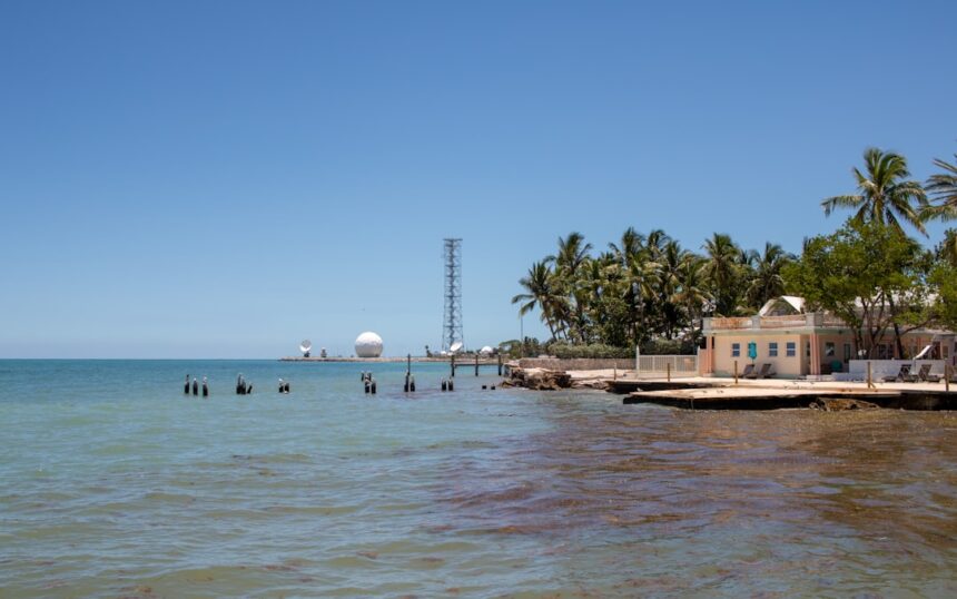 Photo radar technology