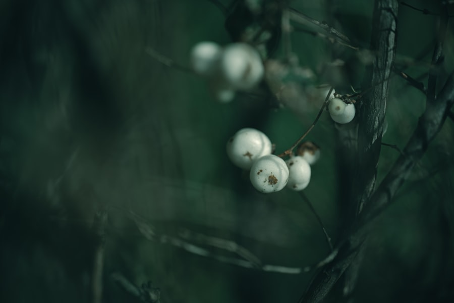 Operation Ivy Bells documentary