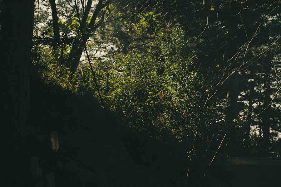 Ivy Bells retrieval cycle