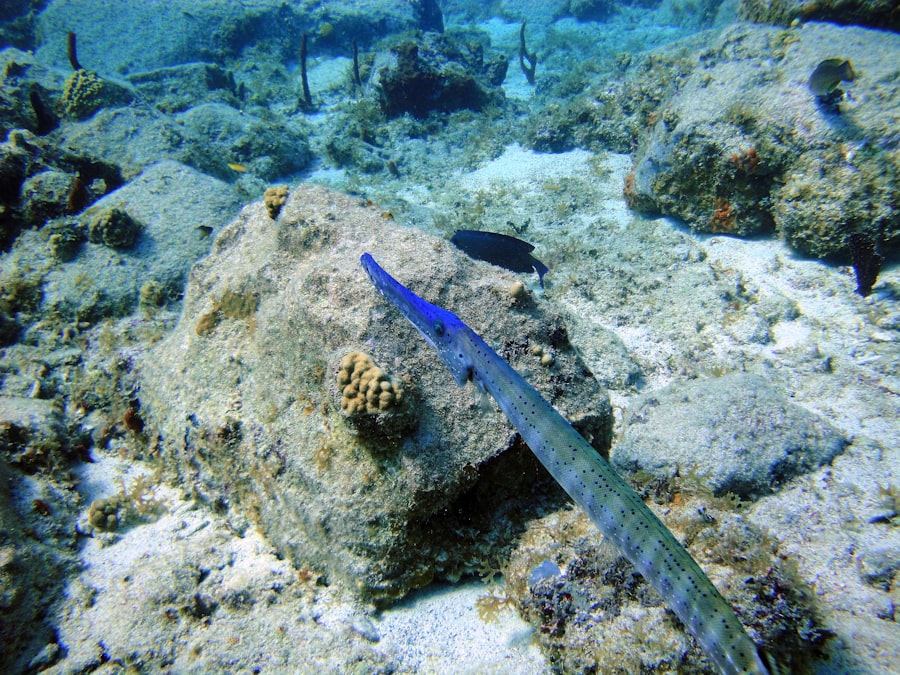 Undersea cable tapping