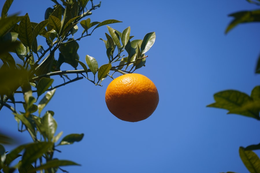 clementine capture vehicle