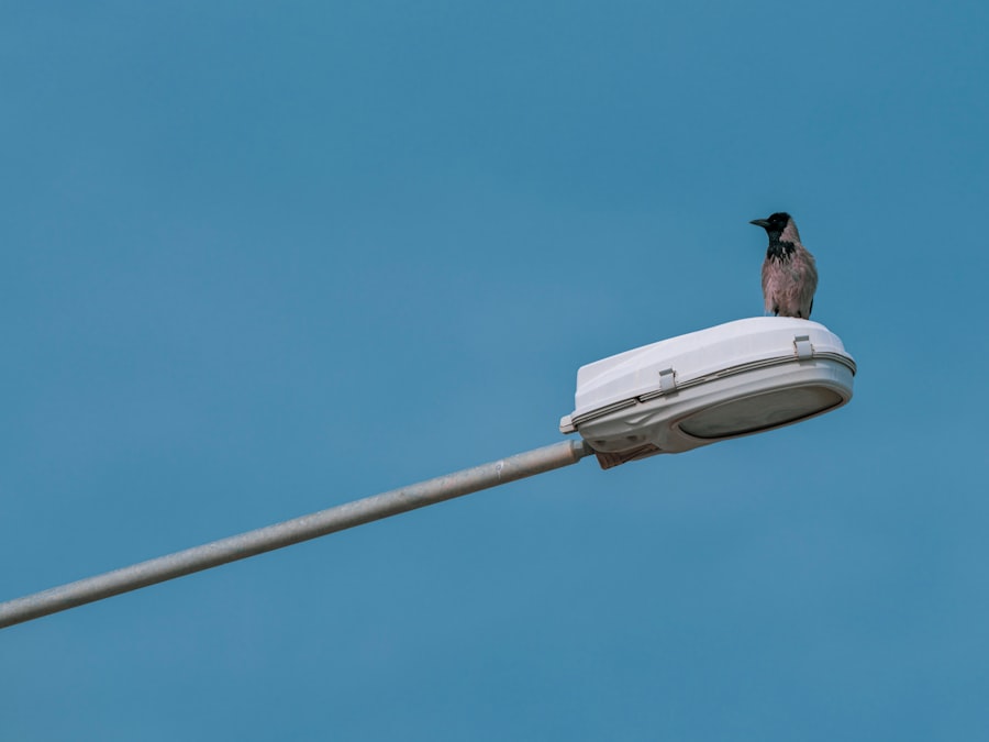 cable surveillance