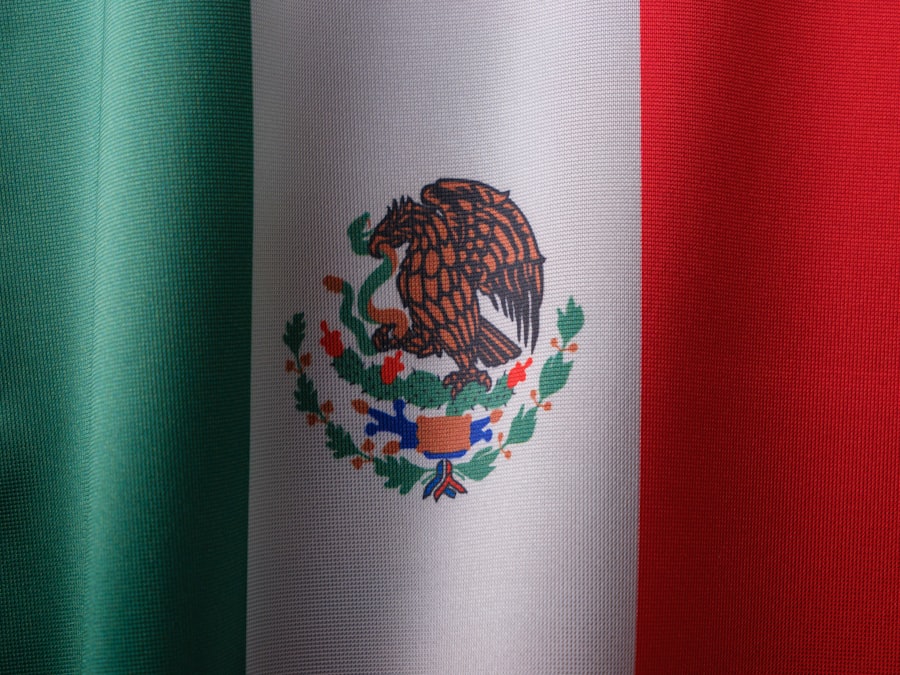 mexican government instability