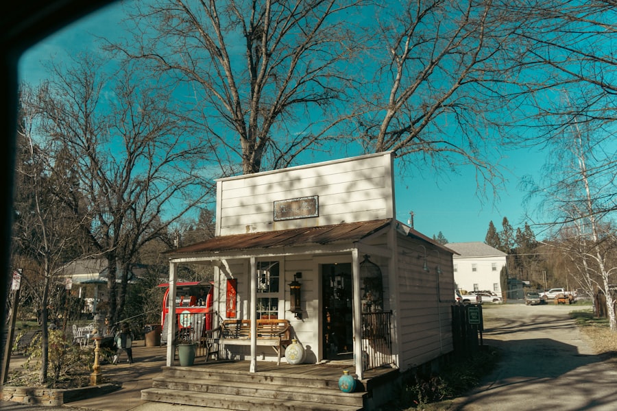 california gold rush