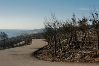 Photo deep sea recovery