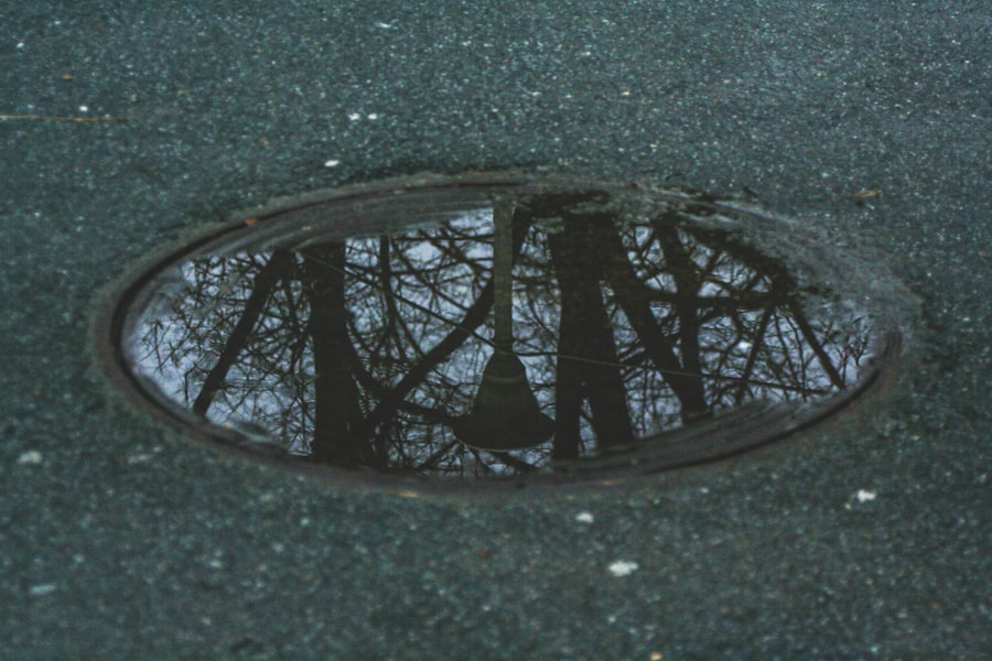 Photo Watermark trap