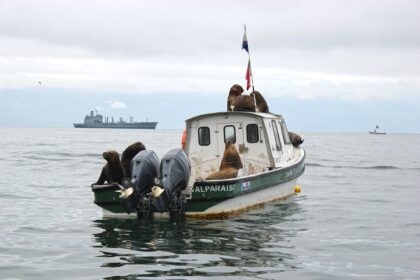Photo Halibut special operations