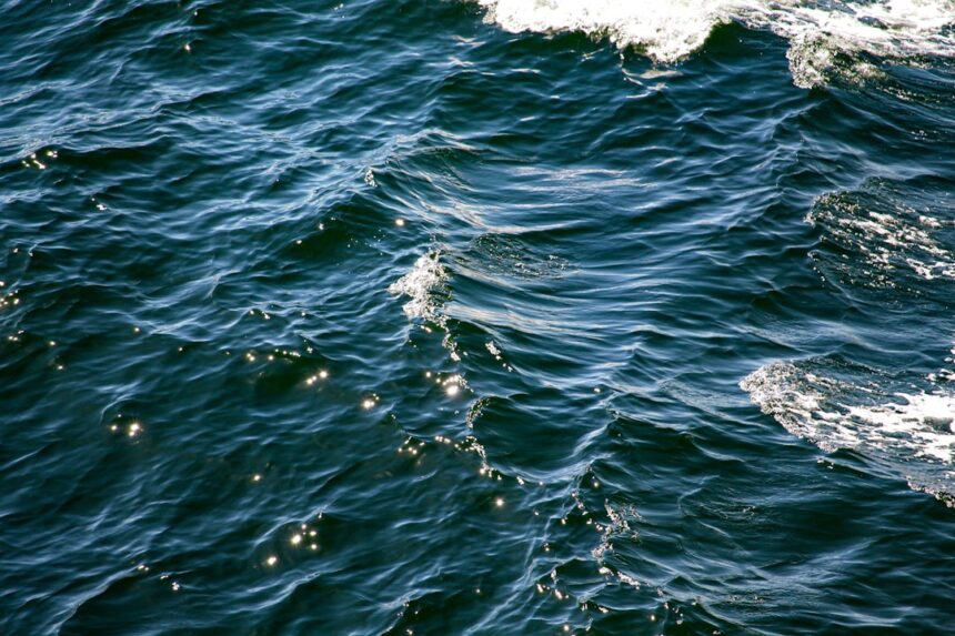 Photo USS Halibut skegs