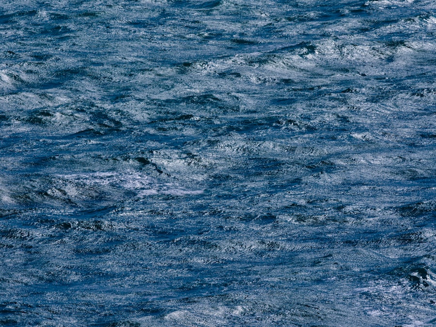 Photo USS Halibut skegs