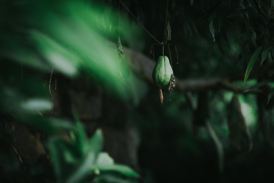 Photo Operation Ivy Bells documentary