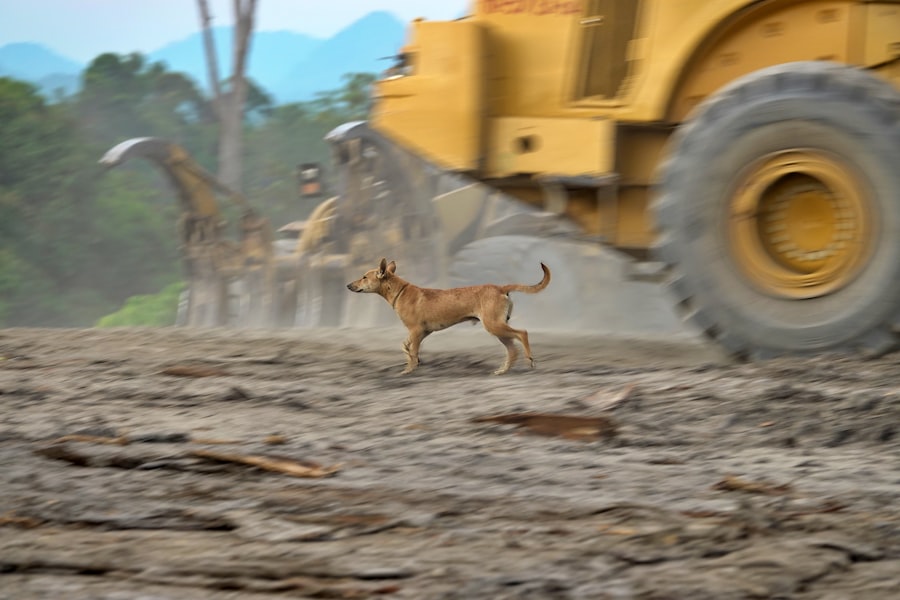 Photo machinery foundations