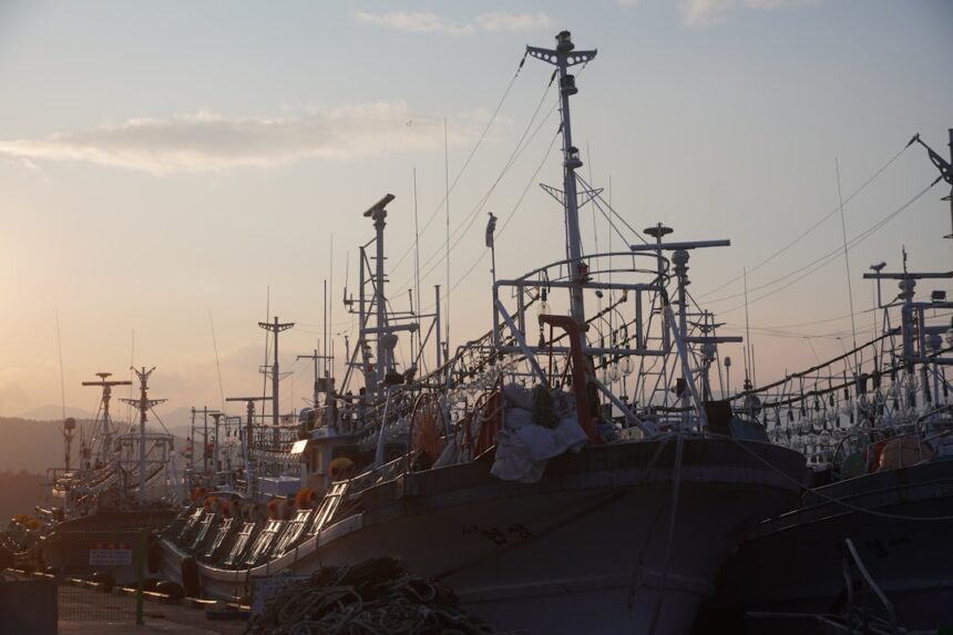 Photo navy sosus network