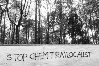 Photo toxic ingredients