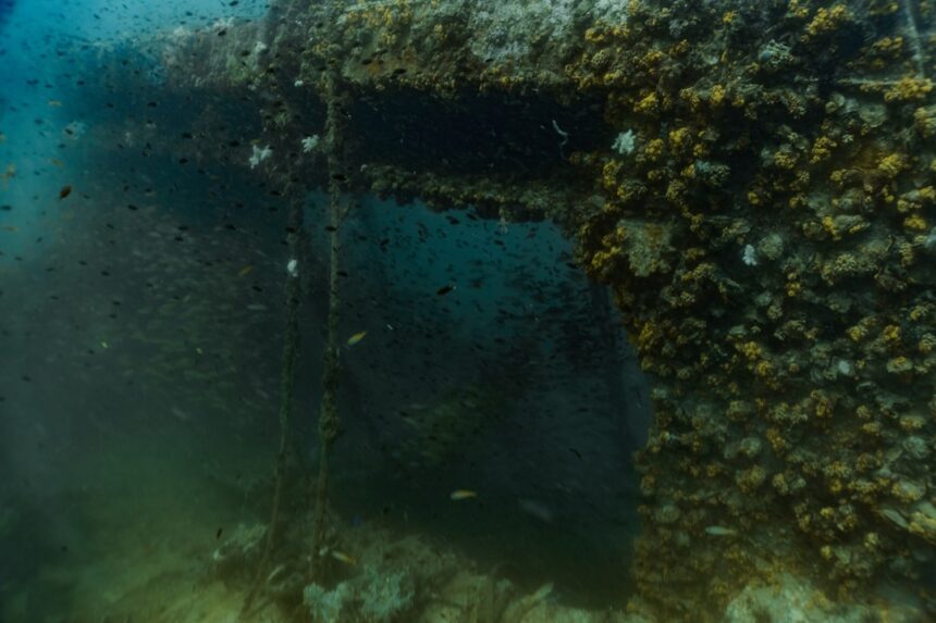Photo k-129 submarine sink