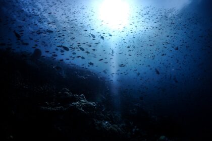 Photo undersea eavesdropping policy